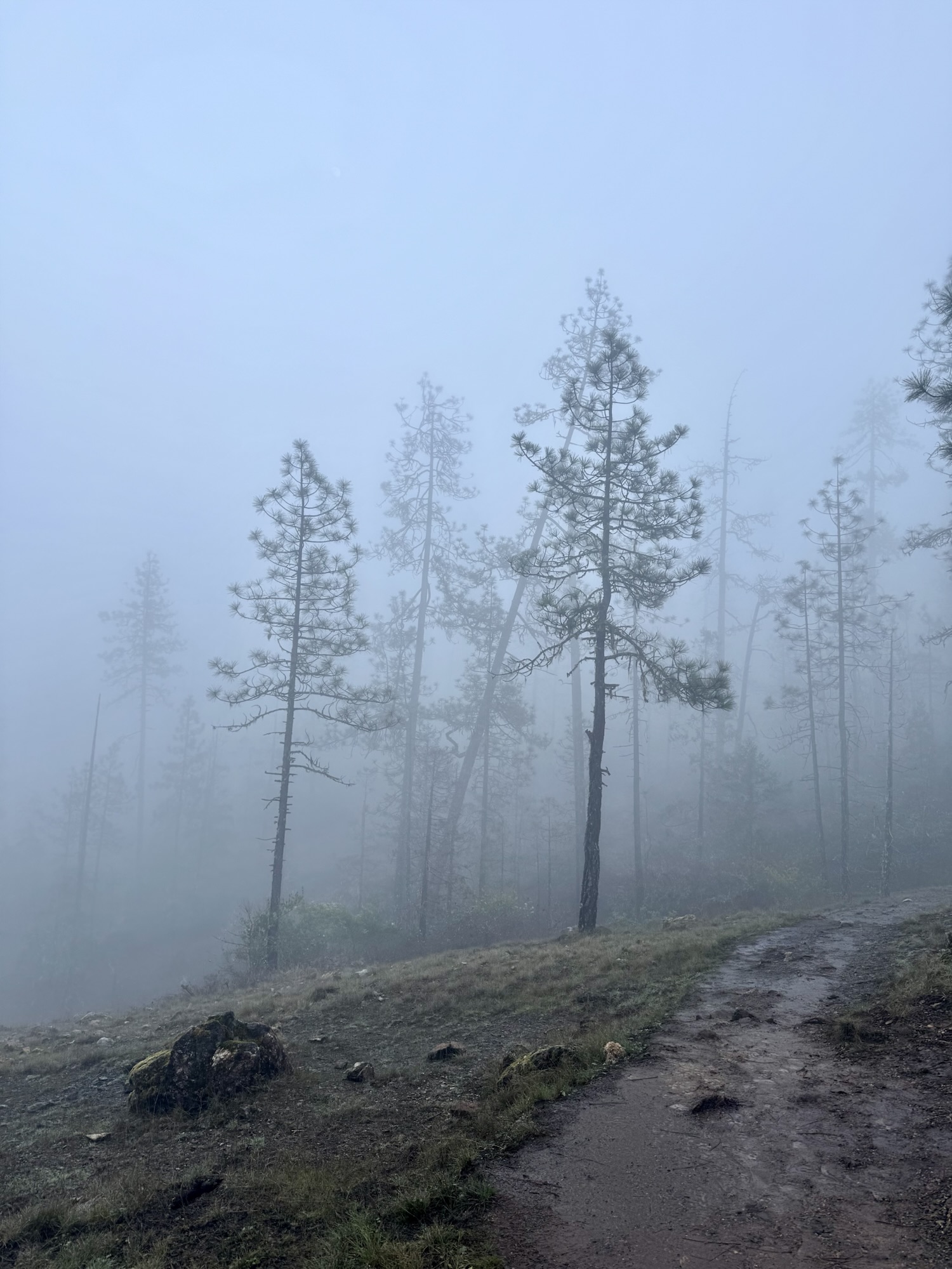 Why Even Small Family Hikes Require Preparation